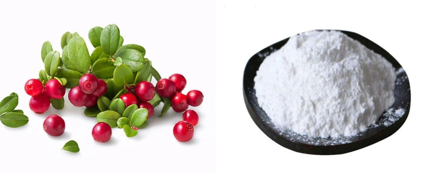 product-1500-600 product-1500-600