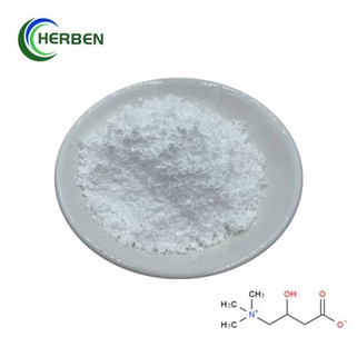 Rent L karnitinpulver