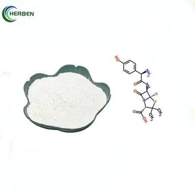 Engros Amoxicillin pulver